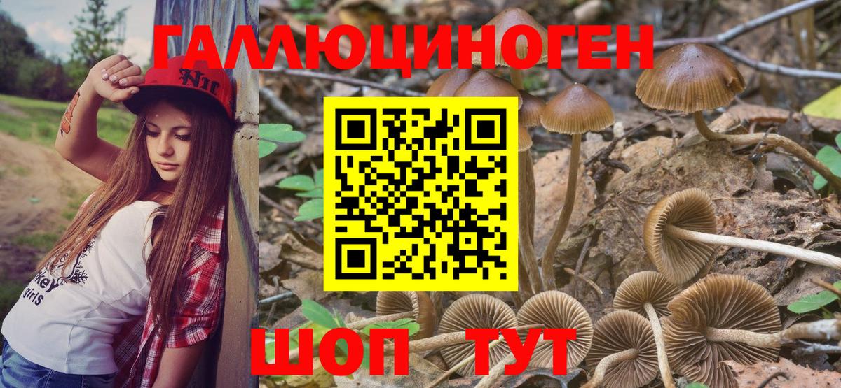 Псилоцибиновые грибы прущие грибы Мценск